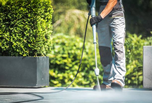 Best Building Exterior Washing  in Carroll, IA
