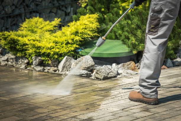 Best House Exterior Washing  in Carroll, IA