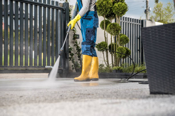 Trusted Carroll, IA Pressure Washing Services Experts